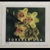 USA Amerika 2020 Nr. 5683-92 Wilde Orchideen Blumen Flora Orchideengewächse