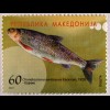 Steinbeißer Zingel Näsling Makedonische Barbe Briefmarkensatz aus Makedonien