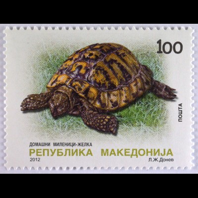 Landschildkröte Briefmarke aus Makedonien Einheimische Fauna Schildkröte