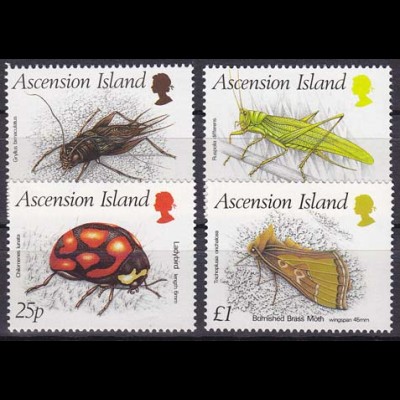 Ascension Nr. 453-56, Insekten, Ruspolia differens, Chulomenes lunata