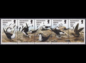 Rußseeschwalben Briefmarken Begrüßungsritual Ei wenden Brüten Küken Jungvogel