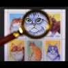Katzen beliebte Haustiere Silber Tabby Persian Burmakatze Britisch Kurzhaar