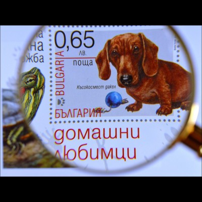 Süßer Dackel und eine Schildkröte auf einem Briefmarkenblock aus Bulgarien