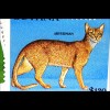 Katzenrassen Burma Türkisch Van Sphynx Maine Coon Türkisch Angora Himalaja