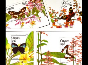 Schmetterlinge Phyciodes clio Thecla hemon Nymphidium caricae Heliconius aoede