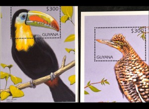 Vögel birds Tukan Regenbogentukan Südamerikanische Rohrdommel Blocksatz