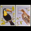 Vögel birds Tukan Regenbogentukan Südamerikanische Rohrdommel Blocksatz
