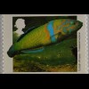 Gibraltar 1994, Nr. 696-99, Meerestiere: Purpurstern, Warzenkoralle, Lippfisch