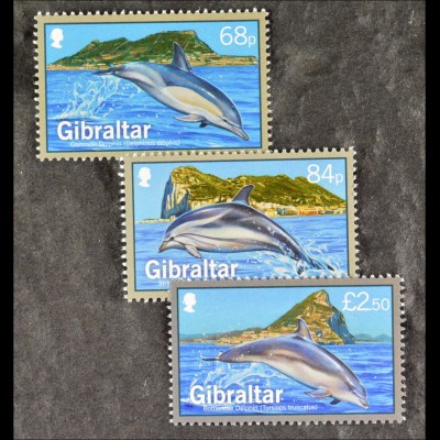 Gemeiner Delphin Blau-weißer Delphin Großer Tümmler Gibraltar 2014 Nr. 1622-24